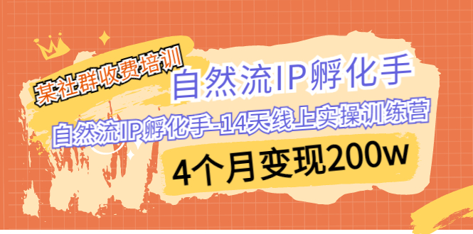 [短视频运营]（6924期）某社群收费培训：自然流IP 孵化手-14天线上实操训练营 4个月变现200w-第1张图片-智慧创业网