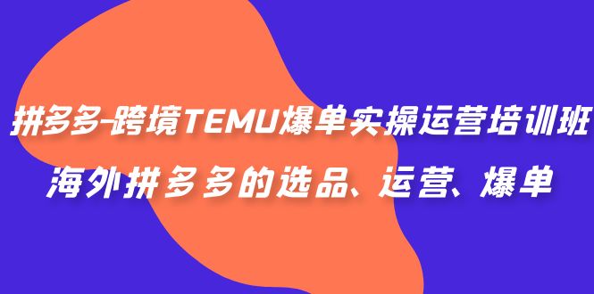 [跨境电商]（6934期）拼多多-跨境TEMU爆单实操运营培训班，海外拼多多的选品、运营、爆单-第1张图片-智慧创业网