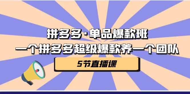 [国内电商]（7019期）拼多多·单品爆款班，一个拼多多超级爆款养一个团队（5节直播课）