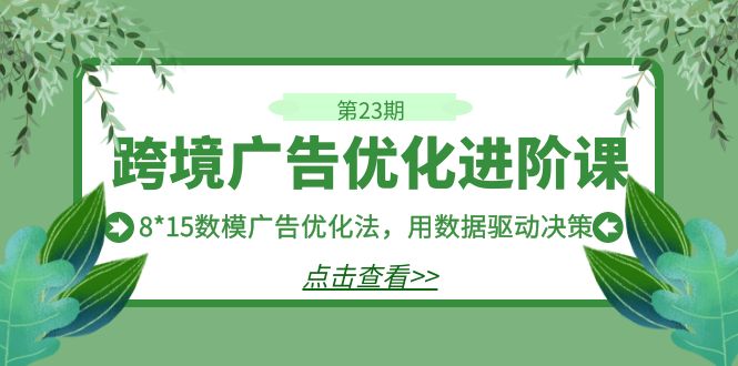 [跨境电商]（7131期）跨境广告·优化进阶课·第23期，8*15数模广告优化法，用数据驱动决策