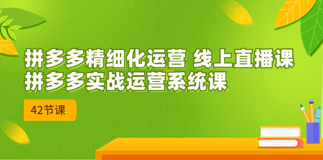 [国内电商]（7151期）2023年8月新课-拼多多精细化运营 线上直播课：拼多多实战运营系统课-42节-第1张图片-智慧创业网