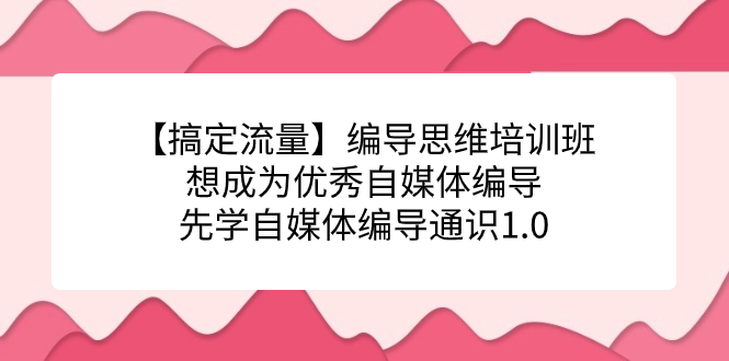 [新媒体]（7281期）【搞定流量】编导思维培训班，想成为优秀自媒体编导先学自媒体编导通识1.0-第1张图片-搜爱网资源分享社区