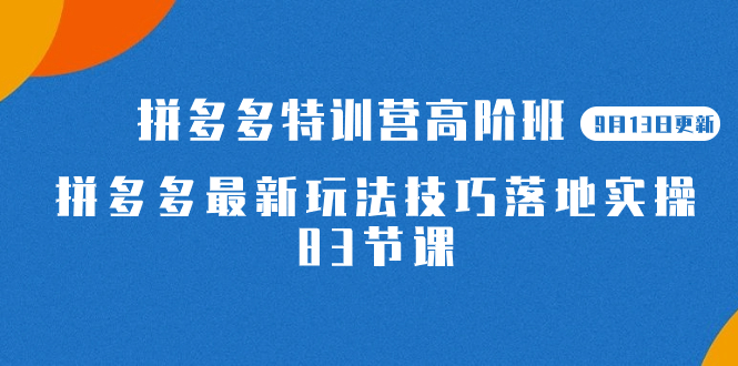 [国内电商]（7295期）2023拼多多·特训营高阶班【9月13日更新】拼多多最新玩法技巧落地实操-83节-第1张图片-智慧创业网