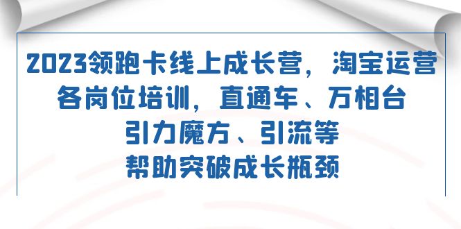 [国内电商]（7462期）2023领跑·卡 线上成长营 淘宝运营各岗位培训 直通车 万相台 引力魔方 引流-第1张图片-智慧创业网