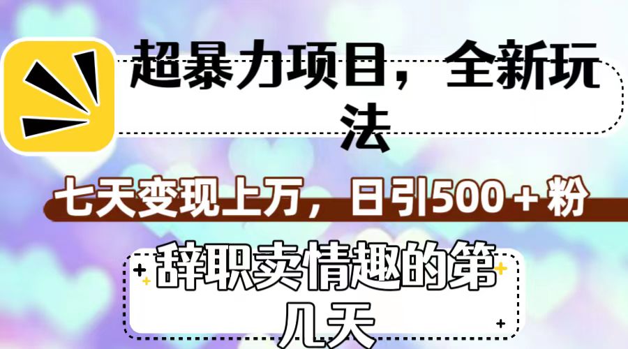 [热门给力项目]（7569期）超暴利项目，全新玩法（辞职卖情趣的第几天），七天变现上万，日引500+粉