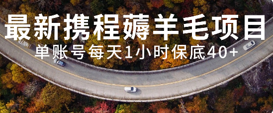 [热门给力项目]（7995期）最新携程薅羊毛项目，单账号每天1小时保底收益40+，可矩阵操作-第1张图片-智慧创业网