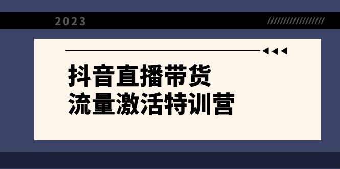 [直播带货]（8185期）抖音直播带货-流量激活特训营，入行新手小白主播必学（21节课+资料）-第1张图片-智慧创业网