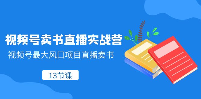 [直播带货]（8080期）视频号-卖书直播实战营，视频号最大风囗项目直播卖书（13节课）