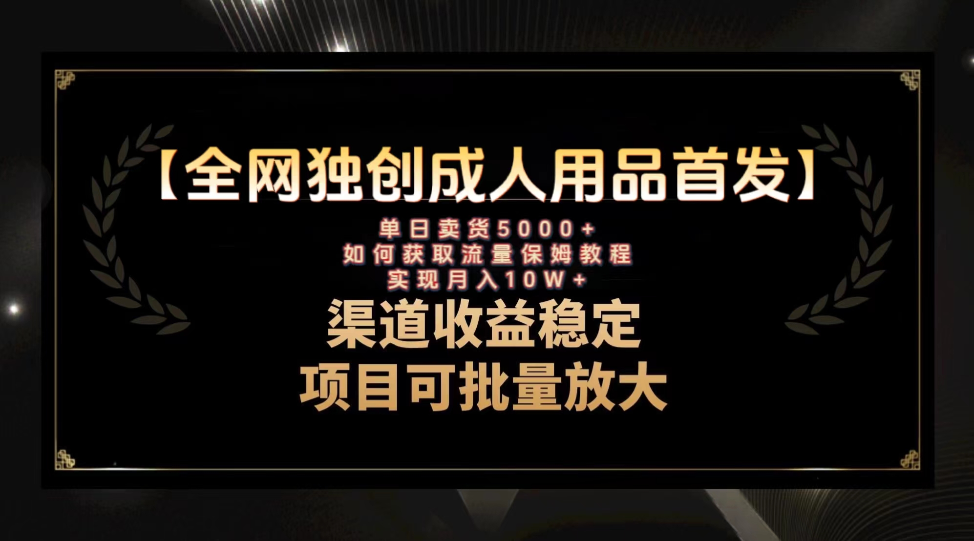 [热门给力项目]（8128期）最新全网独创首发，成人用品赛道引流获客，月入10w保姆级教程-第1张图片-智慧创业网