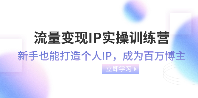 [新媒体]（8134期）流量变现-IP实操训练营：新手也能打造个人IP，成为百万 博主（46节课）