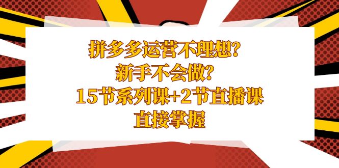 [国内电商]（8479期）拼多多运营不理想？新手不会做？15节系列课+2节直播课，直接掌握-第1张图片-智慧创业网