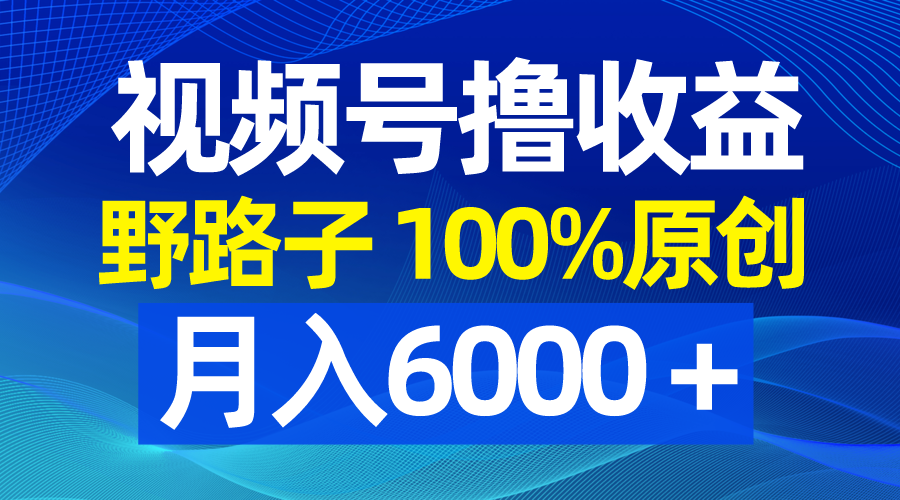 [短视频运营]（8679期）视频号野路子撸收益，100%原创，条条爆款，月入6000＋