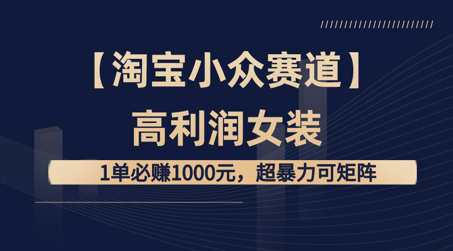 [国内电商]（8608期）【淘宝小众赛道】高利润女装：1单必赚1000元，超暴力可矩阵-第1张图片-智慧创业网