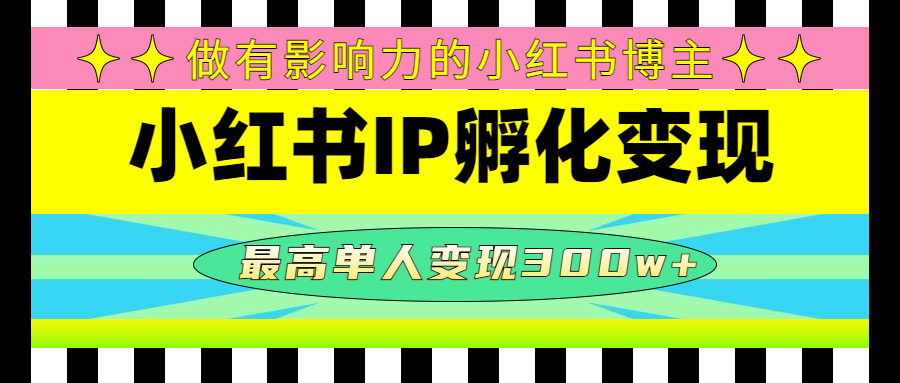 [小红书]（4612期）某收费培训-小红书IP孵化变现：做有影响力的小红书博主，最高单人变现300w+