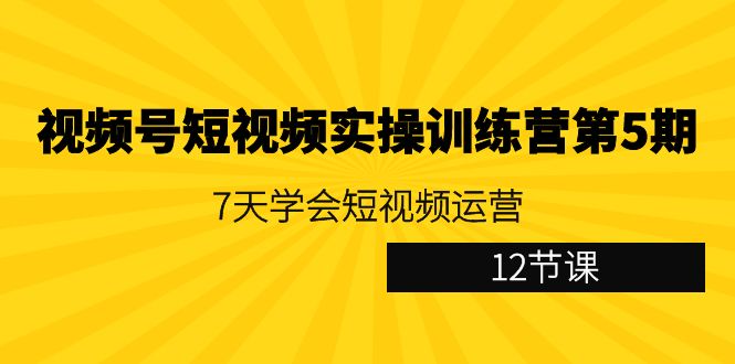 [短视频运营]（9029期）视频号短视频实操训练营第5期：7天学会短视频运营（12节课）