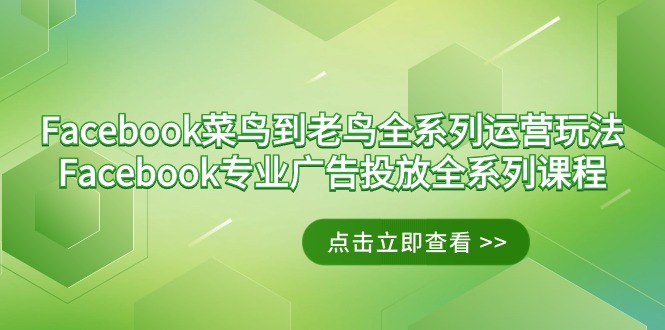[跨境电商]（9065期）Facebook-菜鸟到老鸟全系列运营玩法+Facebook-专业广告投放全系列课程