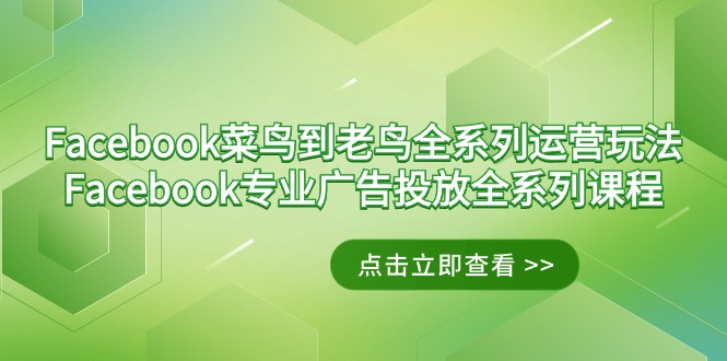 [跨境电商]（9065期）Facebook-菜鸟到老鸟全系列运营玩法+Facebook-专业广告投放全系列课程-第1张图片-智慧创业网