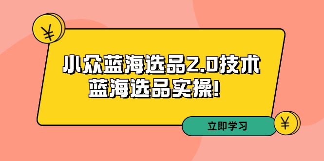 [国内电商]（9189期）拼多多培训第33期：小众蓝海选品2.0技术-蓝海选品实操！