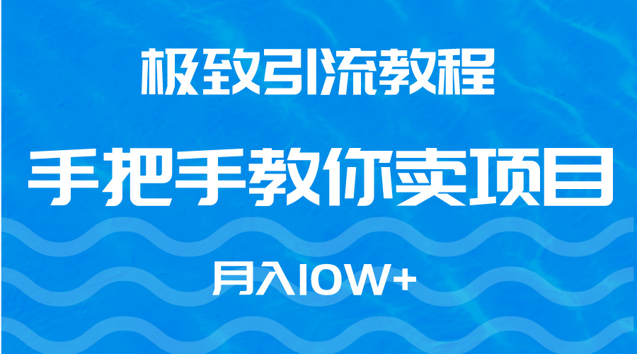 [创业项目]（9265期）极致引流教程，手把手教你卖项目，月入10W+