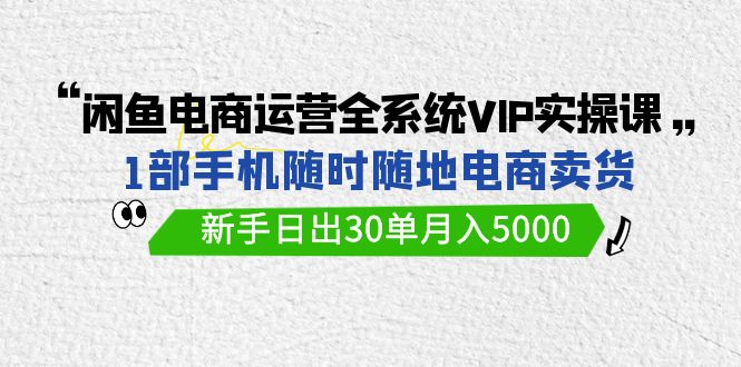 [无货源]（9547期）闲鱼电商运营全系统VIP实战课，1部手机随时随地卖货，新手日出30单月入5000-第1张图片-智慧创业网