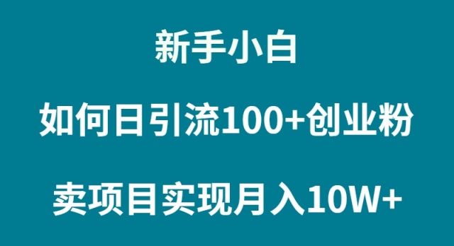 [热门给力项目]（9556期）新手小白如何通过卖项目实现月入10W+-第1张图片-搜爱网资源分享社区