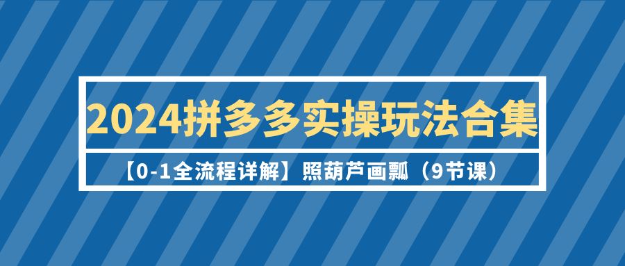 [国内电商]（9559期）2024拼多多实操玩法合集【0-1全流程详解】照葫芦画瓢（9节课）-第1张图片-搜爱网资源分享社区