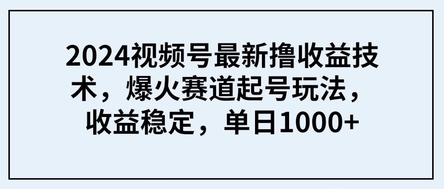 [短视频运营]（9651期） 2024视频号最新撸收益技术，爆火赛道起号玩法，收益稳定，单日1000+-第1张图片-智慧创业网