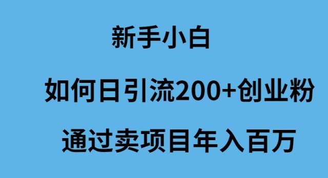 [创业项目]（9668期）新手小白如何日引流200+创业粉通过卖项目年入百万