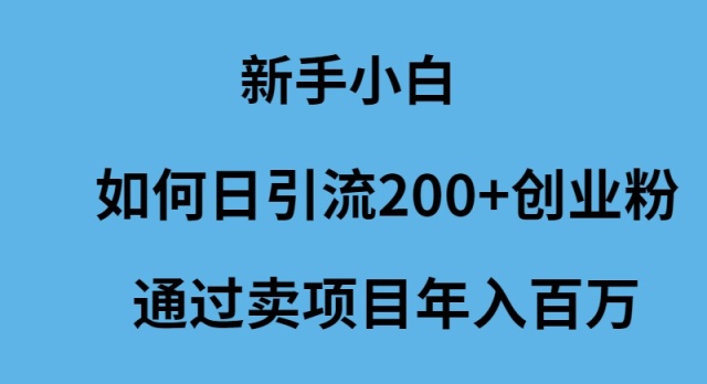 [创业项目]（9668期）新手小白如何日引流200+创业粉通过卖项目年入百万-第1张图片-搜爱网资源分享社区