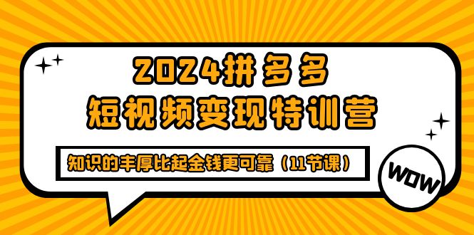 [国内电商]（9817期）2024拼多多短视频变现特训营，知识的丰厚比起金钱更可靠（11节课）