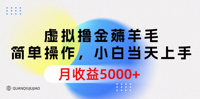 [虚拟资源]（9864期）虚拟撸金薅羊毛，简单操作，小白当天上手，月收益5000+-第1张图片-智慧创业网