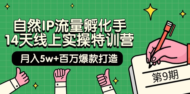 [短视频运营]（9881期）自然IP流量孵化手 14天线上实操特训营【第9期】月入5w+百万爆款打造 (74节)