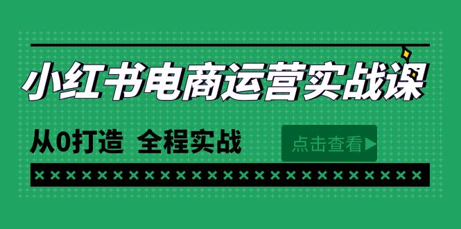 [小红书]（9946期）最新小红书·电商运营实战课，从0打造  全程实战（65节视频课）