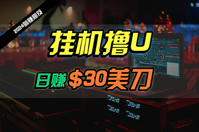 [热门给力项目]（10013期）日赚30美刀，2024最新海外挂机撸U内部项目，全程无人值守，可批量放大