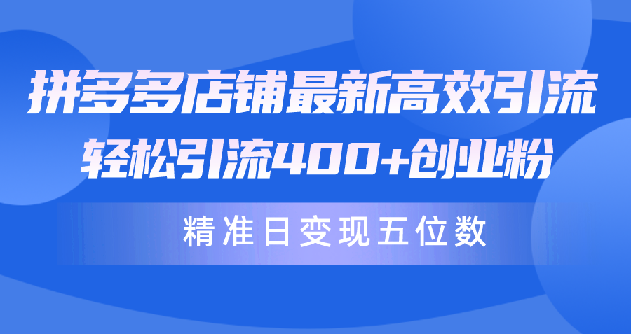 [引流-涨粉-软件]（10041期）拼多多店铺最新高效引流术，轻松引流400+创业粉，精准日变现五位数！