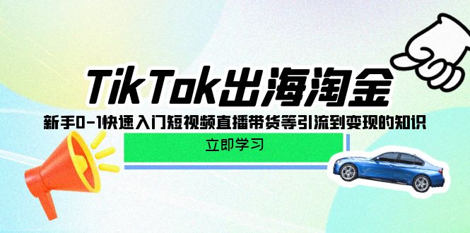 [跨境电商]（10035期）TikTok-出海淘金，新手0-1快速入门短视频直播带货等引流到变现的知识