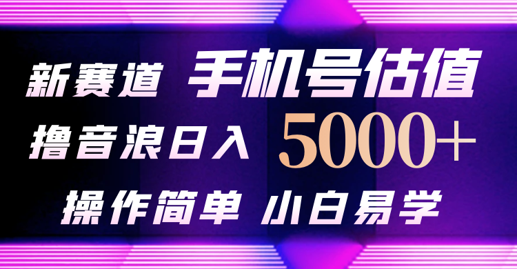 [直播玩法]（10154期）抖音不出境直播【手机号估值】最新撸音浪，日入5000+，简单易学，适合...-第1张图片-智慧创业网