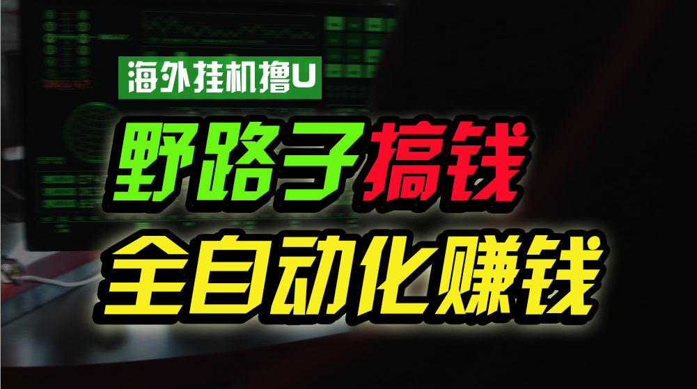 [热门给力项目]（10366期）海外挂机撸U新平台，日赚8-15美元，全程无人值守，可批量放大，工作室...
