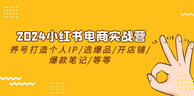 [小红书]（10376期）2024小红书电商实战营，养号打造IP/选爆品/开店铺/爆款笔记/等等（24节）