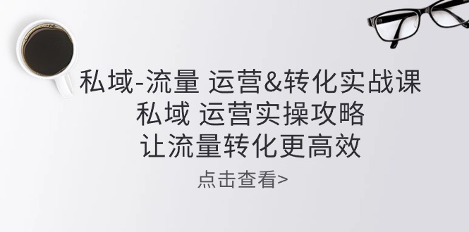 [引流-涨粉-软件]（10739期）私域-流量 运营&转化实操课：私域 运营实操攻略 让流量转化更高效