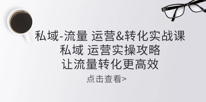 [引流-涨粉-软件]（10739期）私域-流量 运营&amp;转化实操课：私域 运营实操攻略 让流量转化更高效