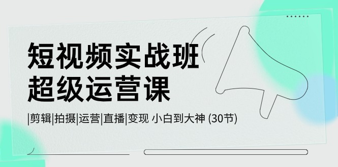[短视频运营]（10836期）短视频实战班-超级运营课，|剪辑|拍摄|运营|直播|变现 小白到大神 (30节)