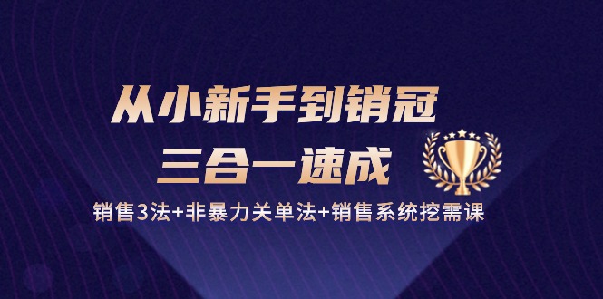 [营销-成交]（10799期）从小新手到销冠 三合一速成：销售3法+非暴力关单法+销售系统挖需课 (27节)