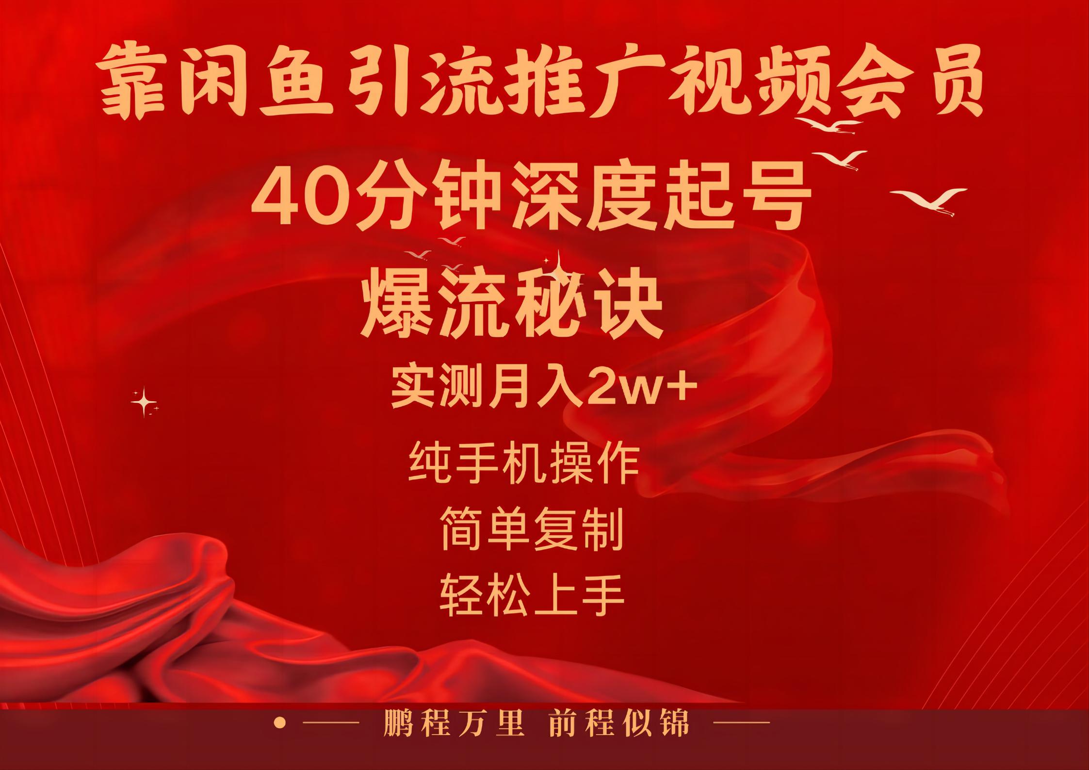 [无货源]（10896期）闲鱼暴力引流推广视频会员，能做到日入2W+，操作简单