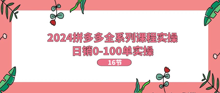 [国内电商]（11222期）2024拼多多全系列课程实操，日销0-100单实操【16节课】-第1张图片-智慧创业网