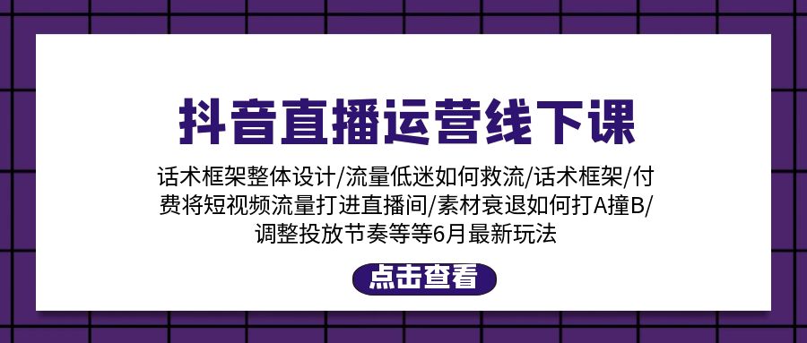 [直播玩法]（11211期）抖音直播运营线下课：话术框架/付费流量直播间/素材A撞B/等6月新玩法-第1张图片-智慧创业网