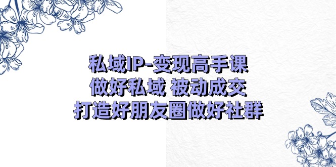 [新媒体]（11209期）私域IP-变现高手课：做好私域 被动成交，打造好朋友圈做好社群（18节）