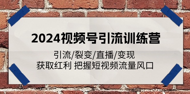[引流-涨粉-软件]（11337期）2024视频号引流训练营：引流/裂变/直播/变现 获取红利 把握短视频流量风口