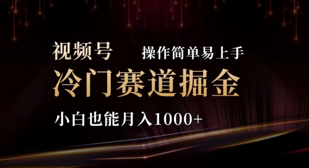 [短视频运营]（11378期）2024视频号冷门赛道掘金，操作简单轻松上手，小白也能月入1000+