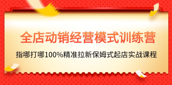 [国内电商]（11460期）全店动销-经营模式训练营，指哪打哪100%精准拉新保姆式起店实战课程